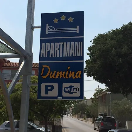 Dumina