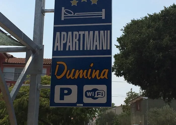 Dumina